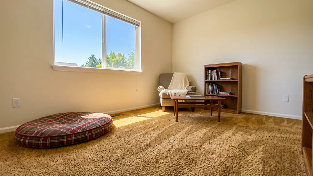 A bright, freshly cleaned home interior
